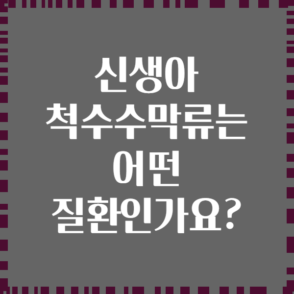 신생아 척수수막류는 어떤 질환인가요?