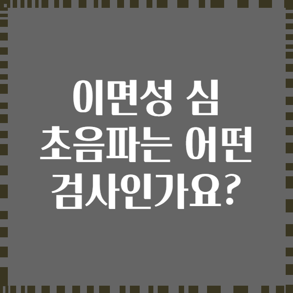 이면성 심 초음파는 어떤 검사인가요?