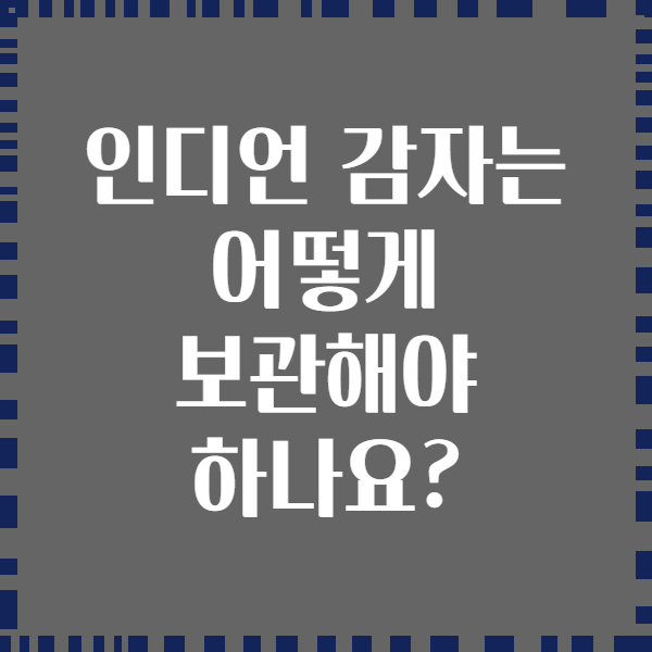 인디언 감자는 어떻게 보관해야 하나요?
