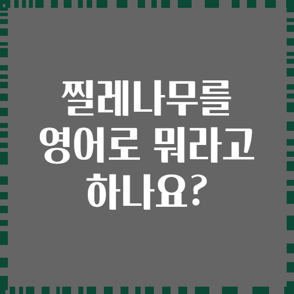 찔레나무를 영어로 뭐라고 하나요?