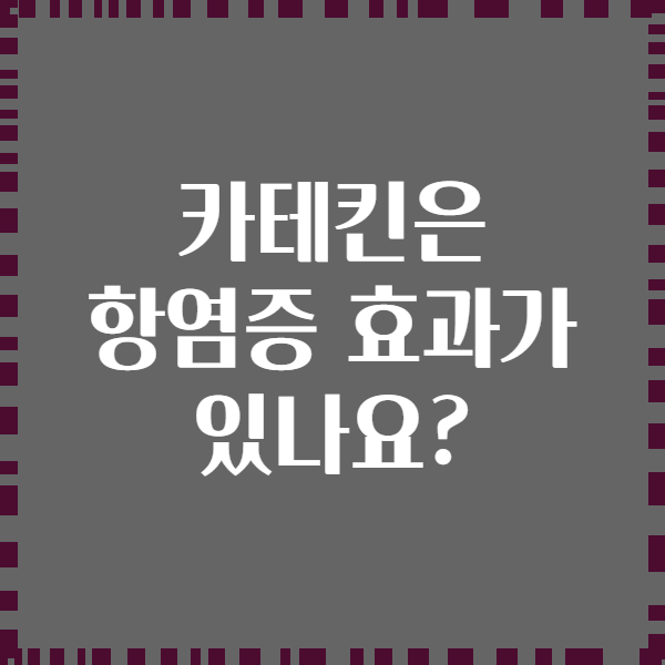 카테킨은 항염증 효과가 있나요?