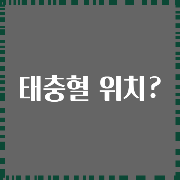 태충혈 위치?