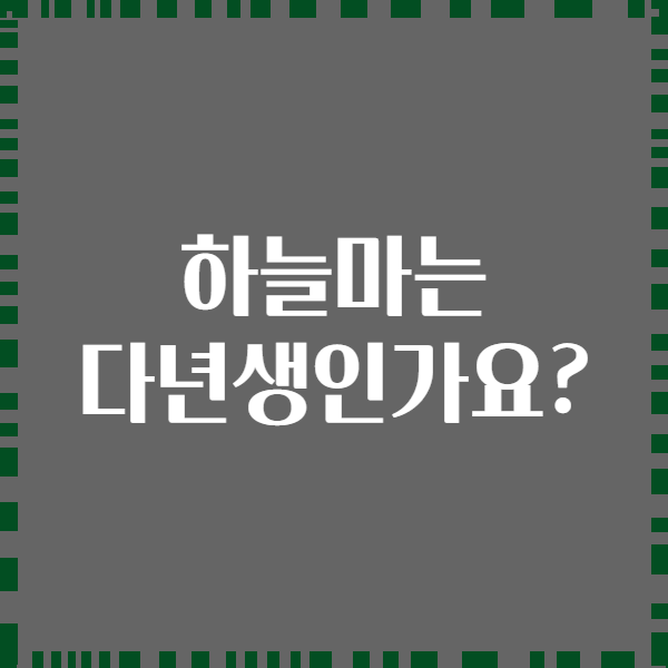 하늘마는 다년생인가요?
